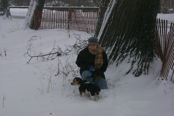 SnowyM&S2