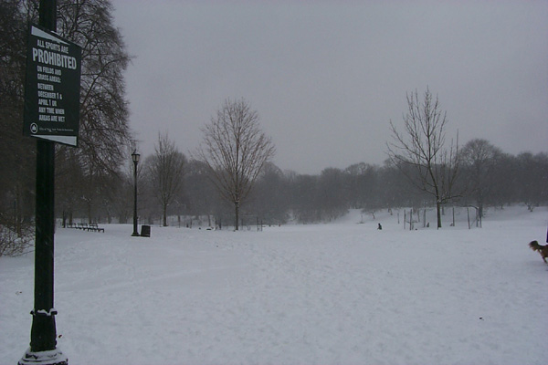 SnowyPark