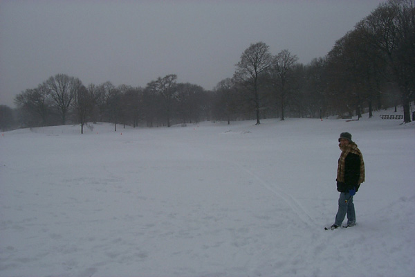 SnowyParkw:M