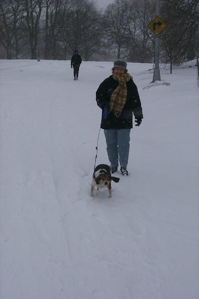 SnowySophleads