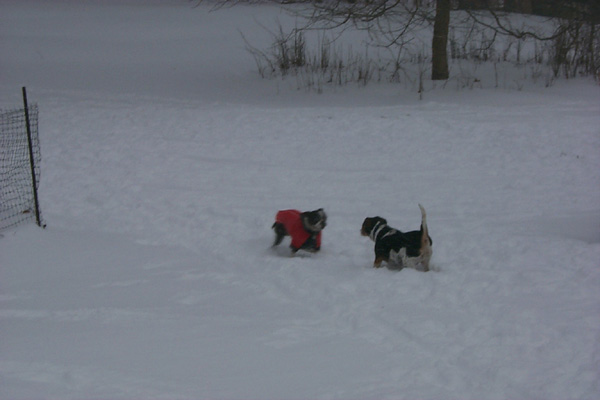 Soph&Buster