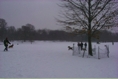 SnowyScene