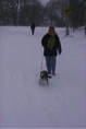 SnowySophleads
