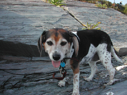 Sophie2LightsStatePark
