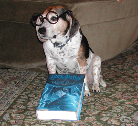 Sophie Reads Book 5