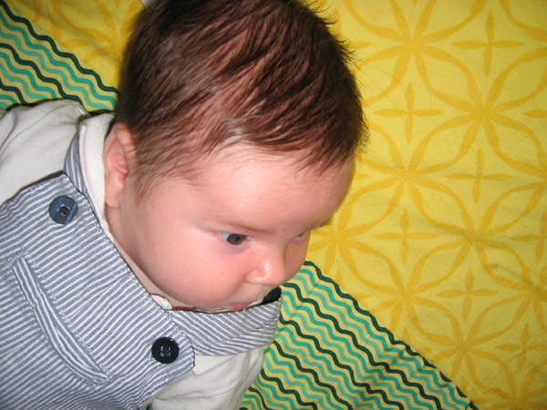 IMG 0707