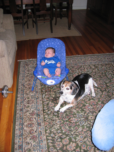 IMG 0759