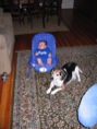 IMG 0759