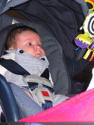 IMG 0880
