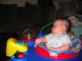 IMG 0982