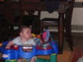 IMG 1003