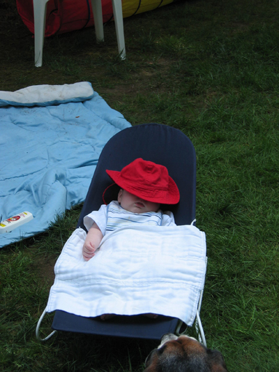 IMG 1304