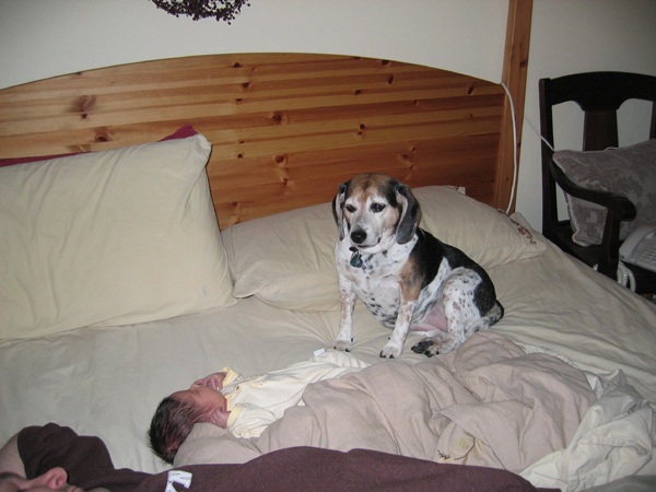 IMG 0356