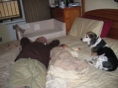 IMG 0354
