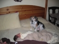IMG 0356