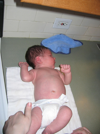 IMG 0424