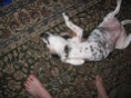 IMG 0401