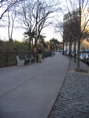 IMG 0419