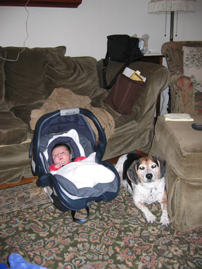 IMG 0501