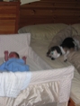 IMG 0457
