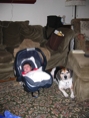 IMG 0501