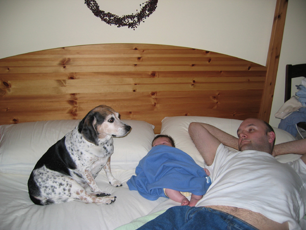 IMG 0538
