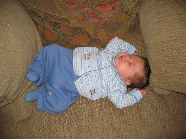 IMG 0568